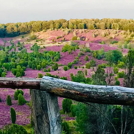 Apartamento Haus Petersen