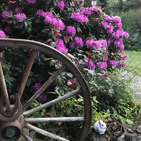 Apartamento Haus Petersen