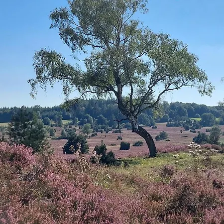 Haus Petersen Apartamento