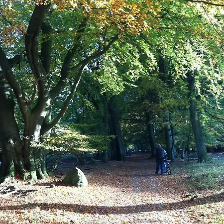 Apartamento Haus Petersen Undeloh